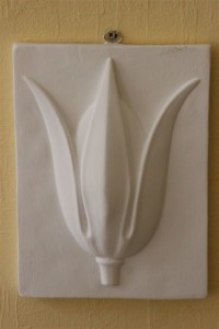 IMG_0504