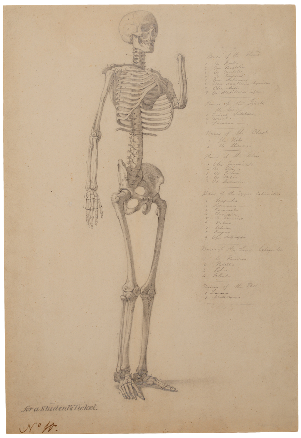 Школа рисования