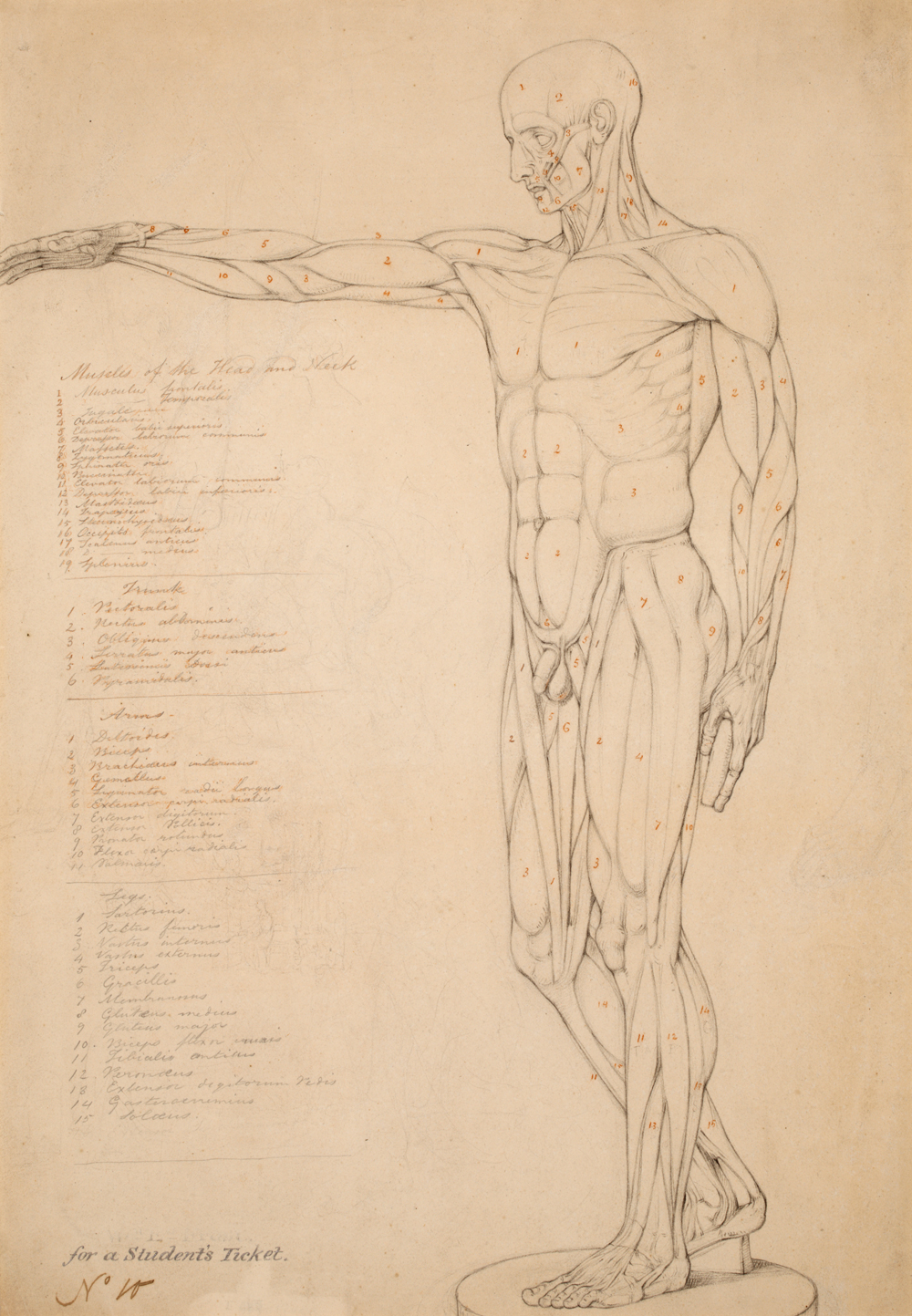 Школа рисования