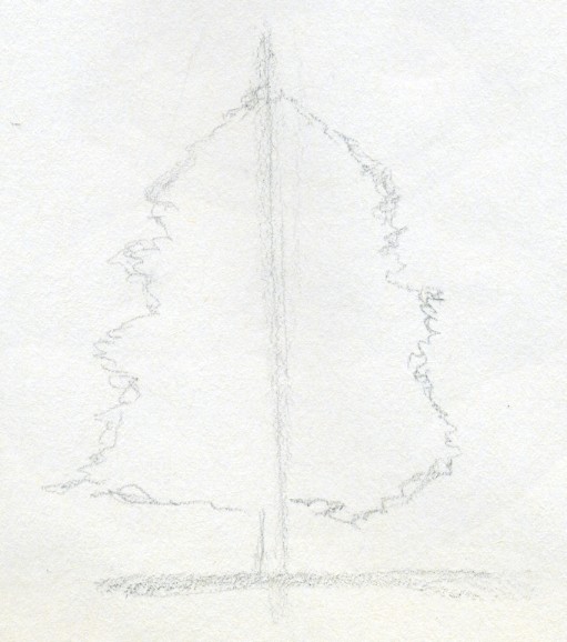 курсы рисования рассказвают как рисовать дерево