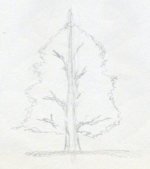 курсы рисования рассказвают как рисовать дерево