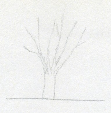 курсы рисования рассказвают как рисовать дерево