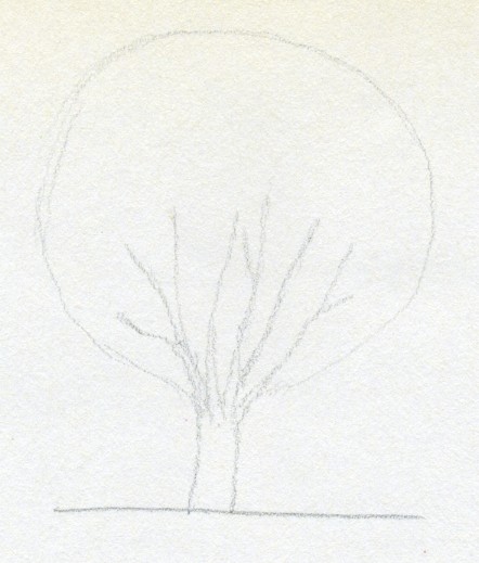 Подробный план, как нарисовать дерево