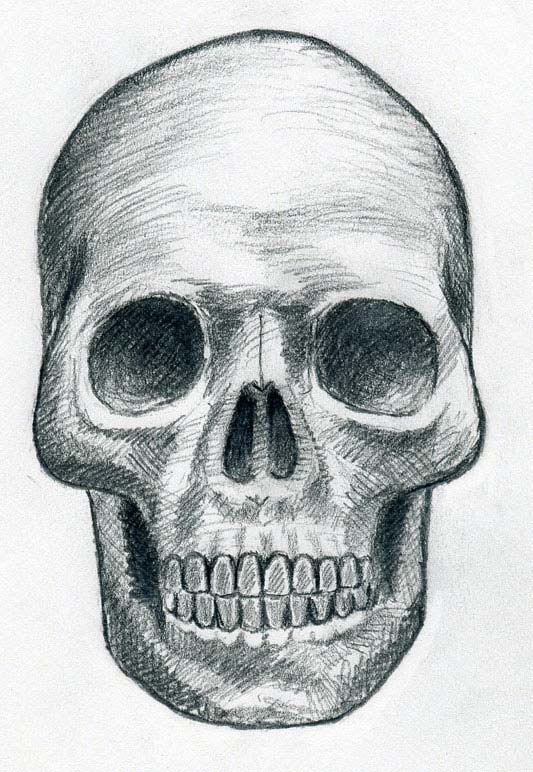 курсы-рисования-как-рисовать-череп-6