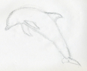 уроки-рисования-как-рисовать-дельфина3