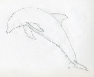 уроки-рисования-как-рисовать-дельфина4