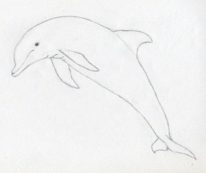 уроки-рисования-как-рисовать-дельфина5