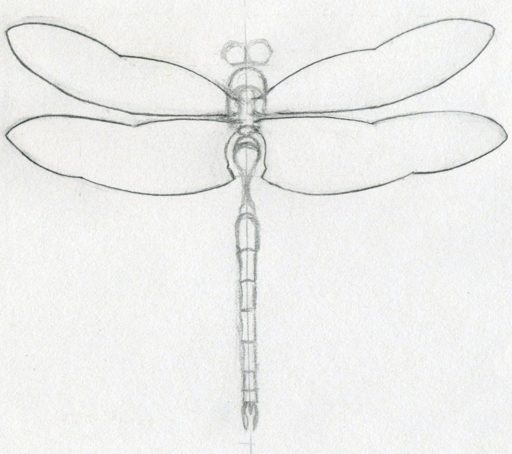 Крылья стрекозы, бабочки, ангела из органзы