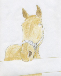 уроки-рисования-как-рисовать-лошадь