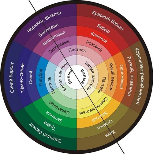 kursu-graficheskogo-disajna-koloristika