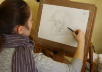 risunok-karandshom-v-kievskih-art-shkolah