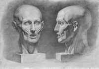 Курси академічноо малюнку