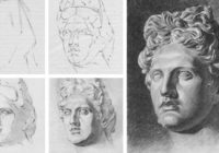 akademicheskij-risunok-na-kursah-risovanija-karandshom