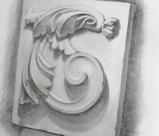 Розетка на курсах академического рисунка