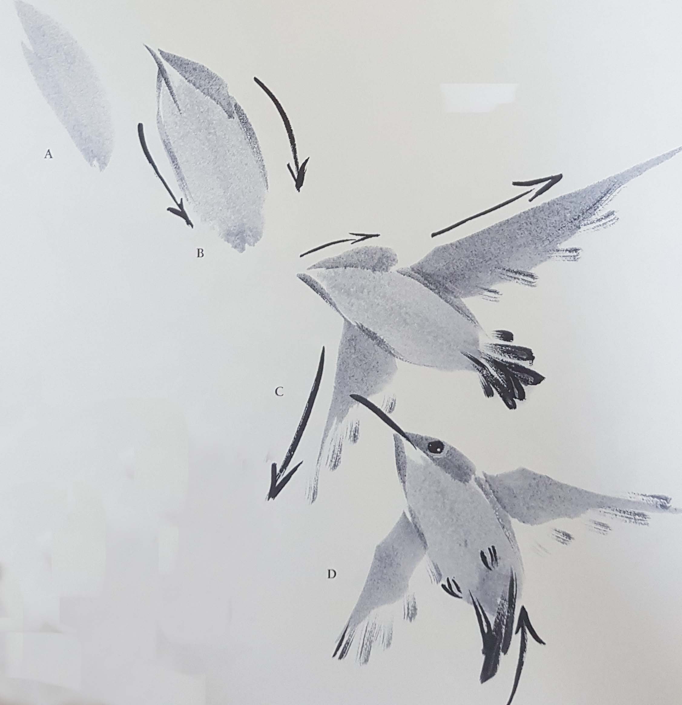 kursu-risovanija-dlya-vzrosluh-akvarelju