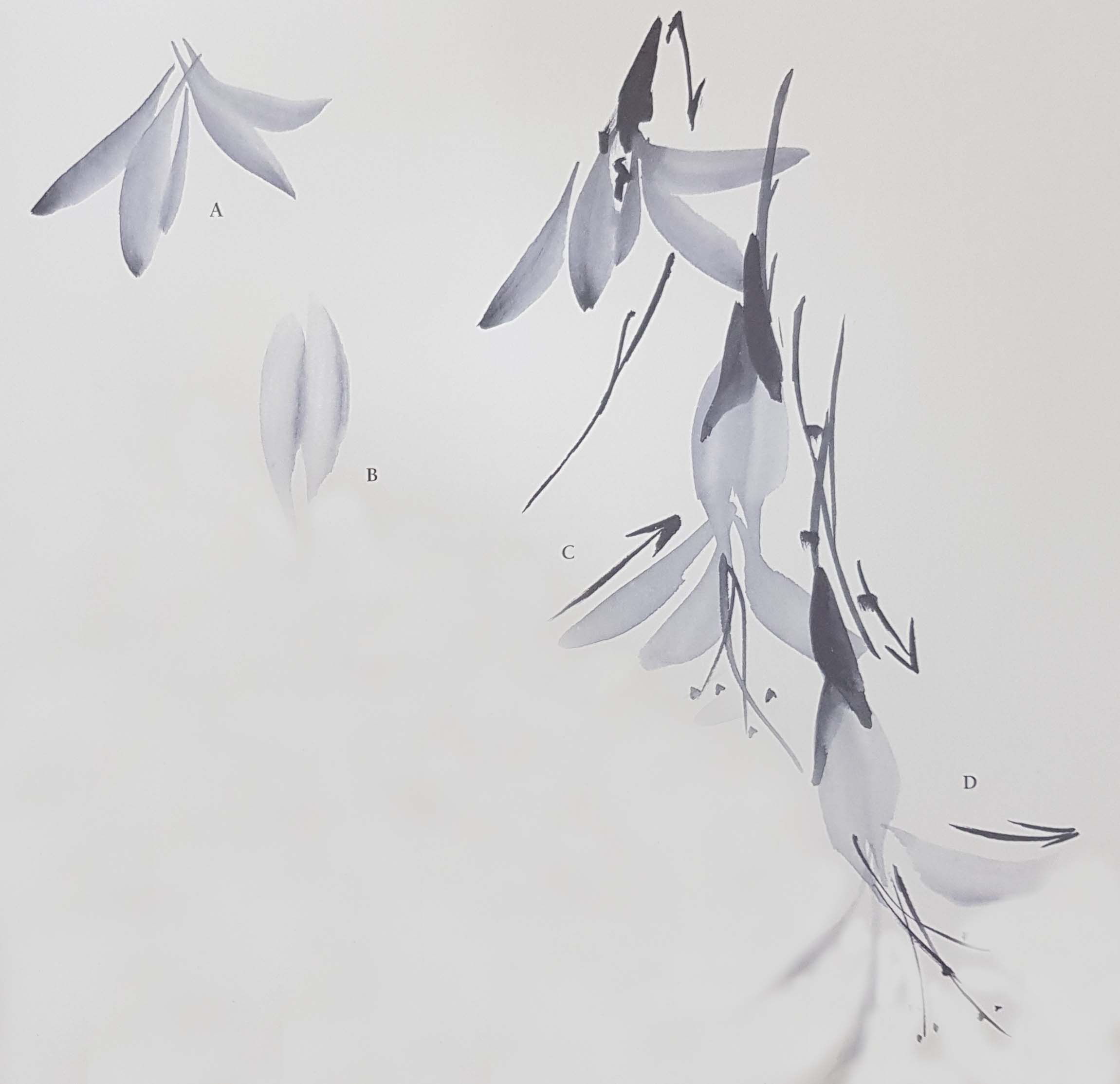 kursu-risovanija-dlya-vzrosluh1