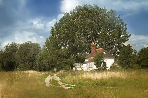 archival-brush-dlya-kursiv-photoshop