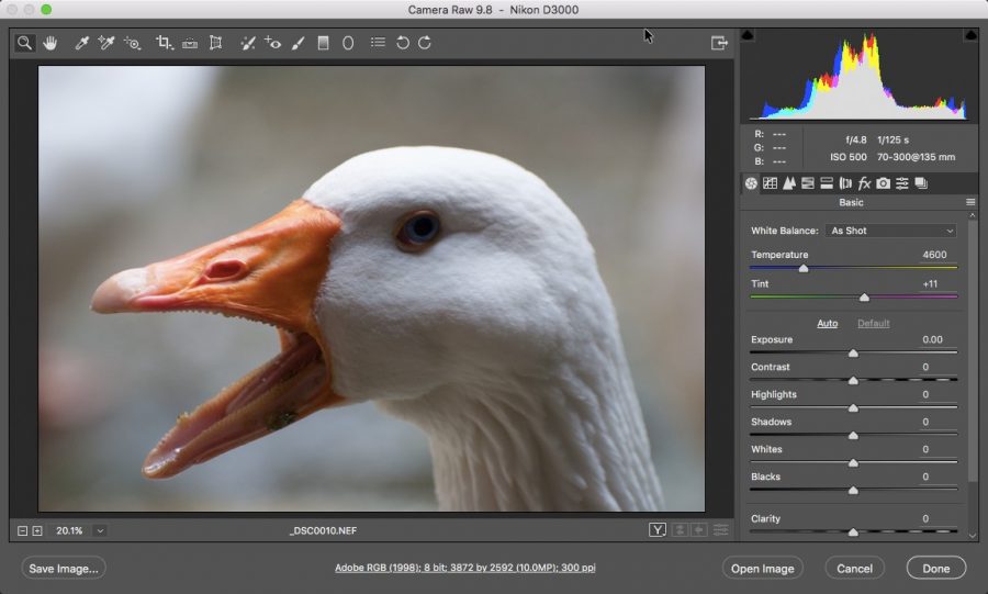 инструмент-камера-роу-пример-использование-на-курсах-фотошопа-Артакадемия