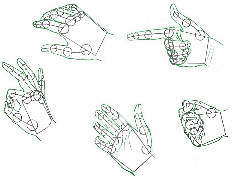 Как нарисовать руки человека поэтапно для начинающих