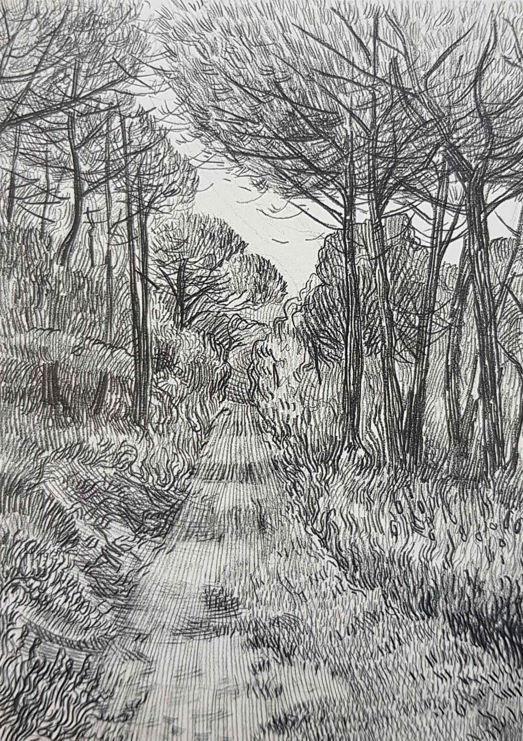 основы рисунка и живописи