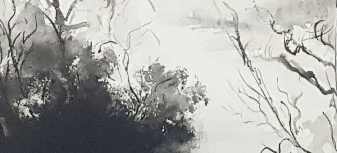 kurs-akademicheskogo-risunka-perom-tushju-artakademia