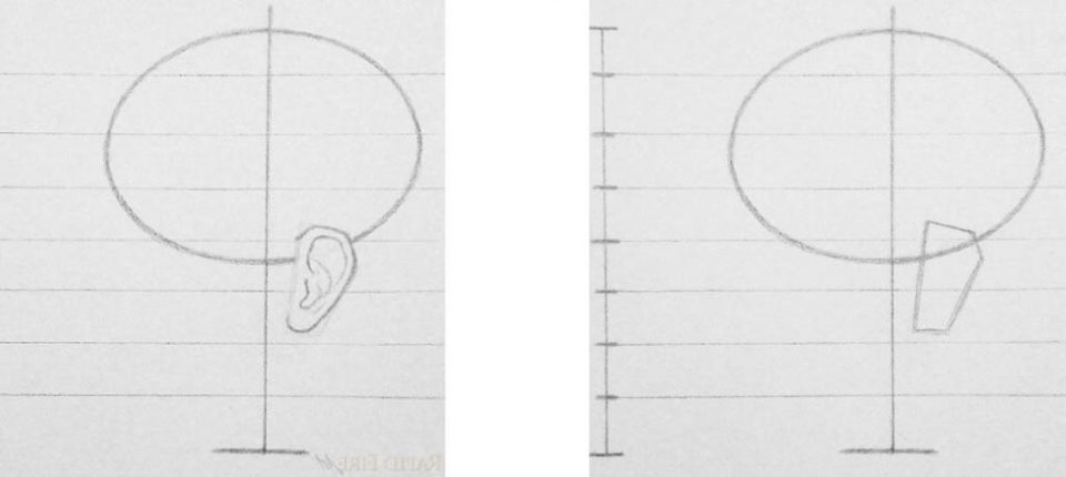 Как нарисовать голову карандашом Артакадемия