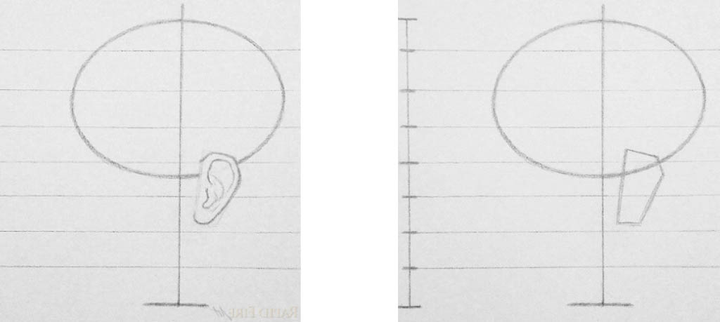 Как нарисовать голову карандашом Артакадемия