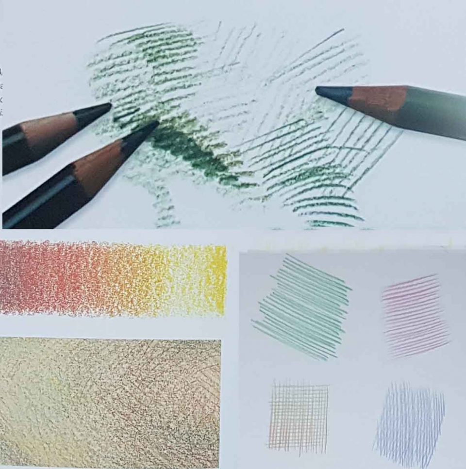 Техника академического рисунка цветными карандашами