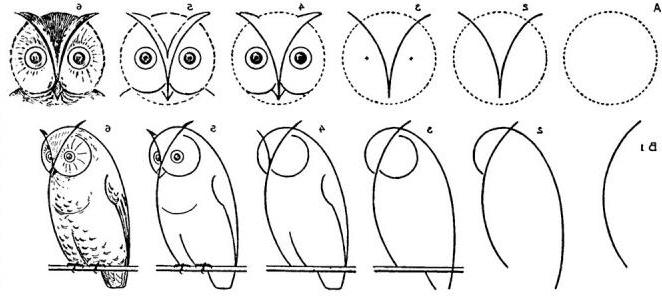Как нарисовать сову: 21 несложный способ - Лайфхакер