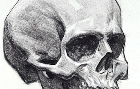 череп рисунок простой