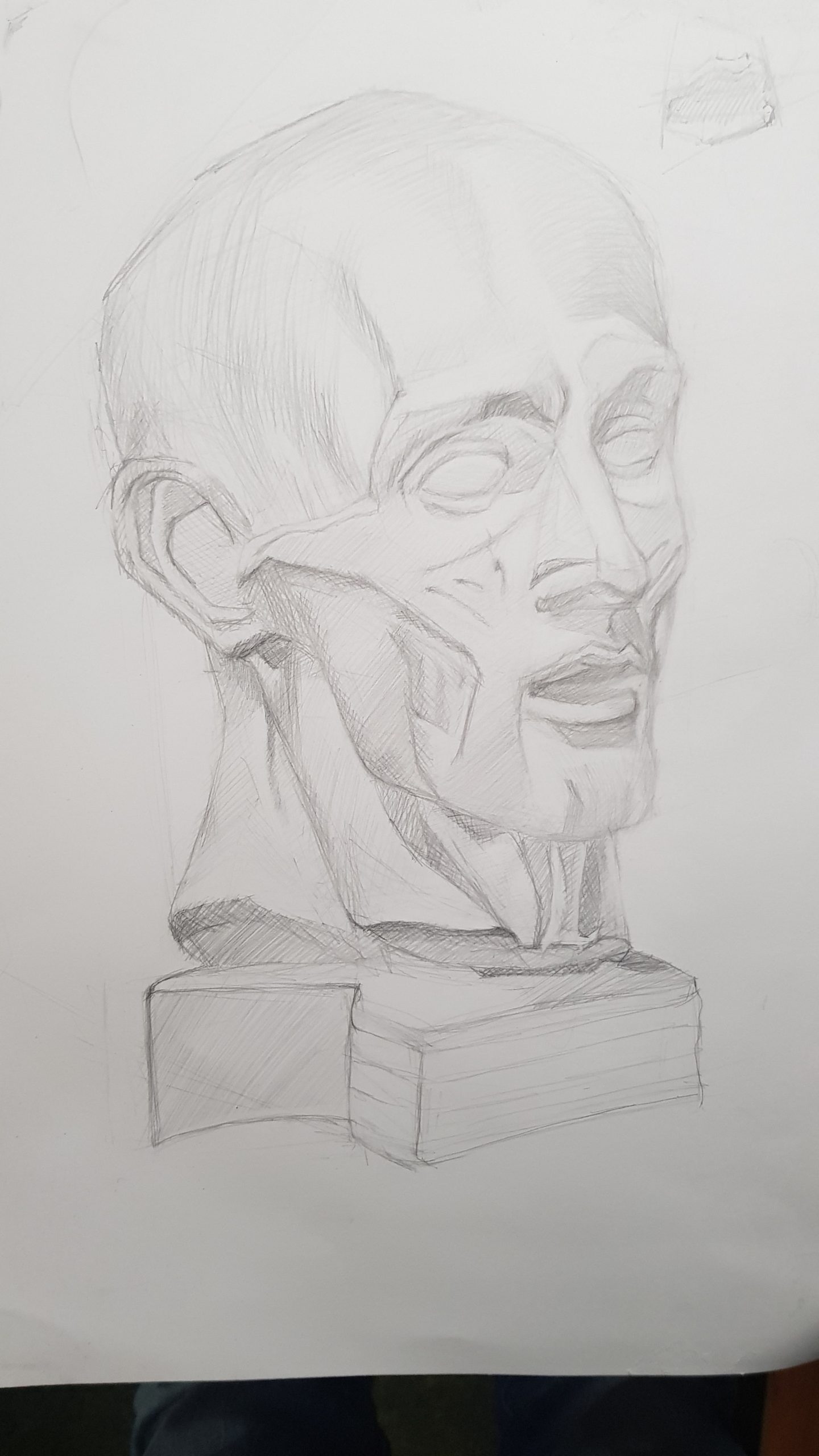 уроки академического рисунка