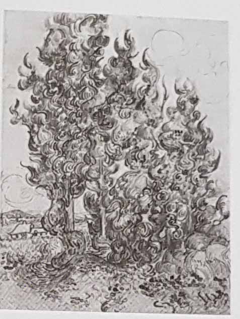 ван гог - рисунок карандашом кипарисовой рощи